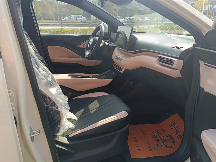 BYD Seagull 2025 2025款 智驾版 305km 活力版