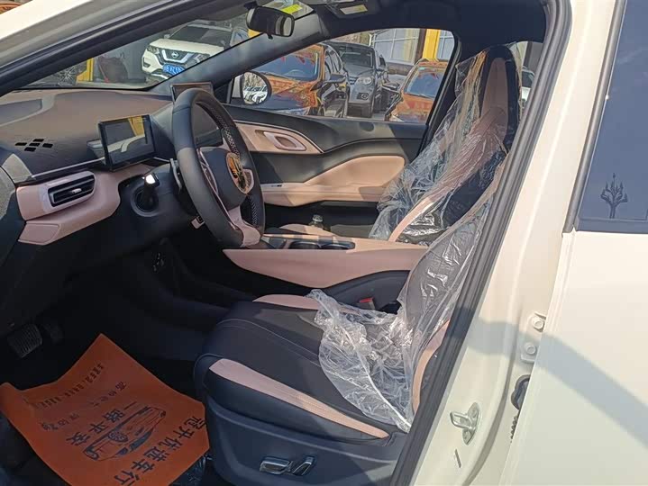 BYD Seagull 2025 2025款 智驾版 305km 活力版