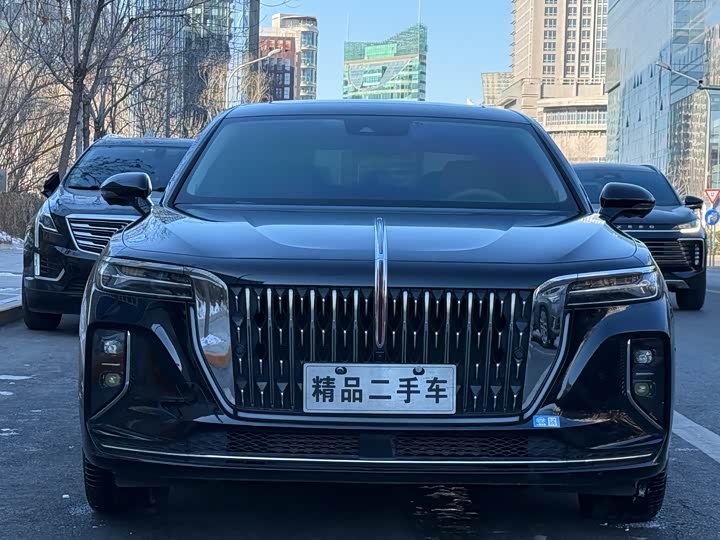 Hongqi H9 2024 2024款 2.0T 旗畅 豪华商务版
