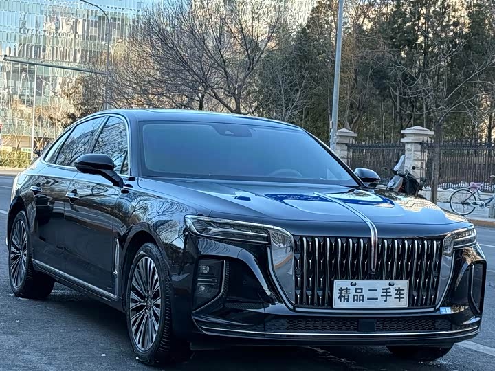 Hongqi H9 2024 2024款 2.0T 旗畅 豪华商务版