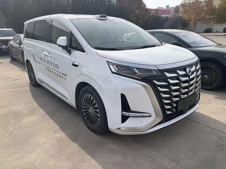 Denza D9 2025 2025款 DM-i 智驾版 1020 四驱旗舰型