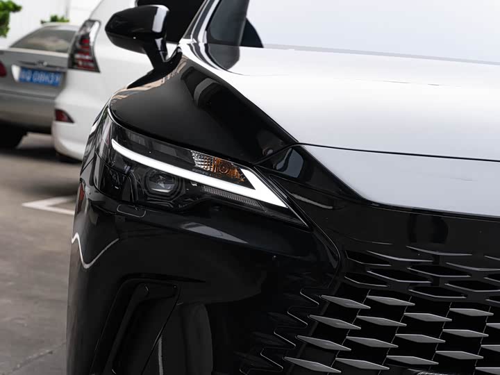 Lexus RX 2026 2026款 300 四驱骏享版