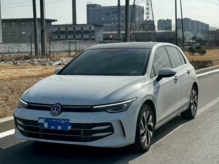 Volkswagen Golf 2025 2025款 300TSI Pro