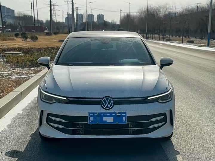 Volkswagen Golf 2025 2025款 300TSI Pro