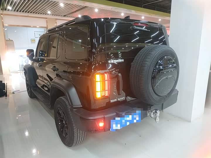 Tank 300 2024 2024款 2.0T 征服者