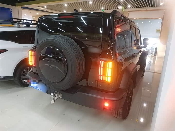 Tank 300 2024 2024款 2.0T 征服者