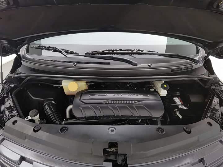 Dongfeng Forthing M7 2022 2022款 领爵款 2.0T 自动侯爵版