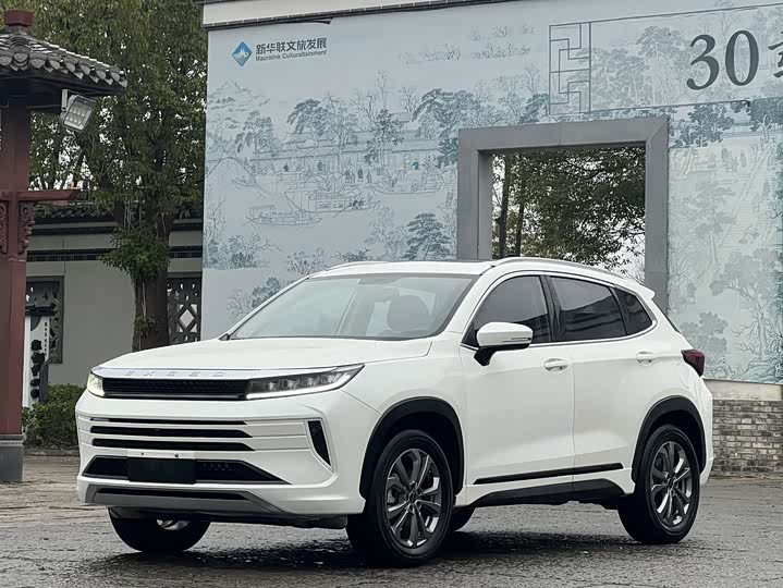 Exeed LX 2020 2020款 乘风破浪版 1.5T CVT星耀版