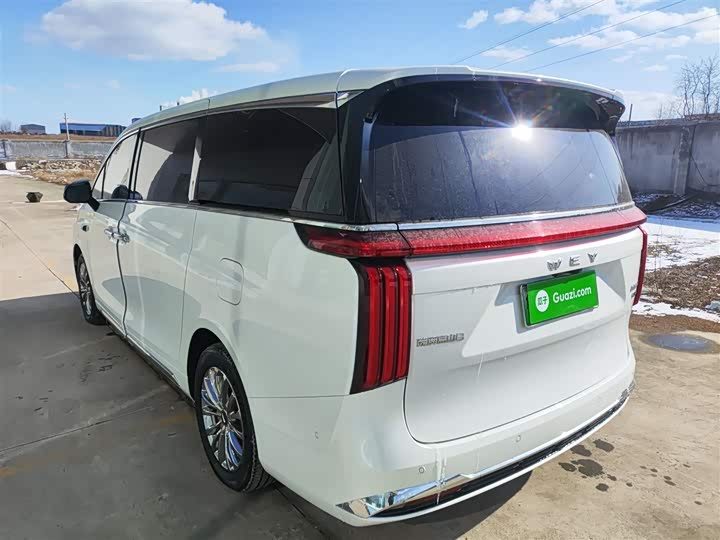 Wey Gaoshan 2025 2025款 四驱高山8