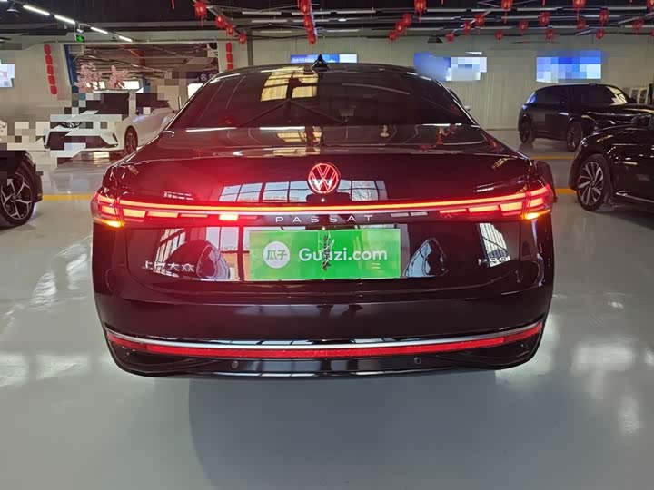 Volkswagen Passat 2025 2025款 Pro 380TSI 龙运版