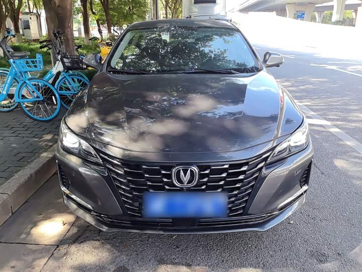 2022 Changan Raeton CC