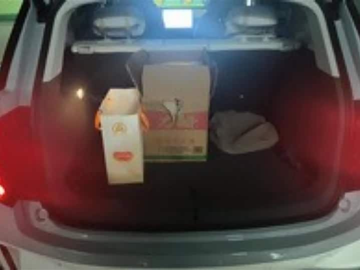 BAIC Arcfox Kaola S 2024 2024款 PRO