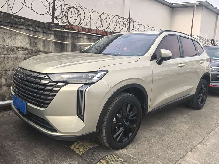 Haval H6 2024 2024款 2.0T 两驱Max