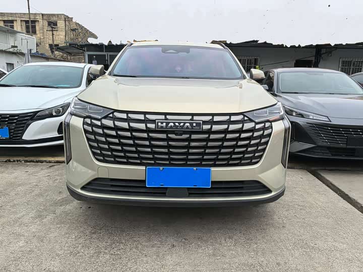 Haval H6 2024 2024款 2.0T 两驱Max