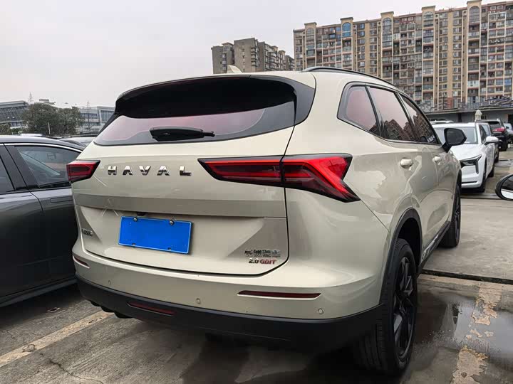 Haval H6 2024 2024款 2.0T 两驱Max