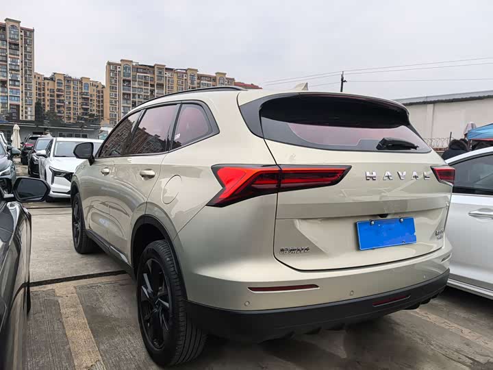 Haval H6 2024 2024款 2.0T 两驱Max