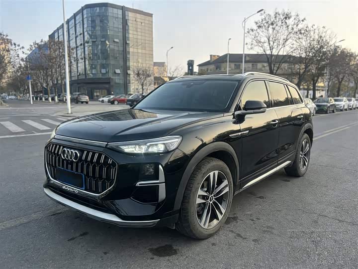 Audi Q6 2025 2025款 40 TFSI quattro 纪念版 羽林套装 7座