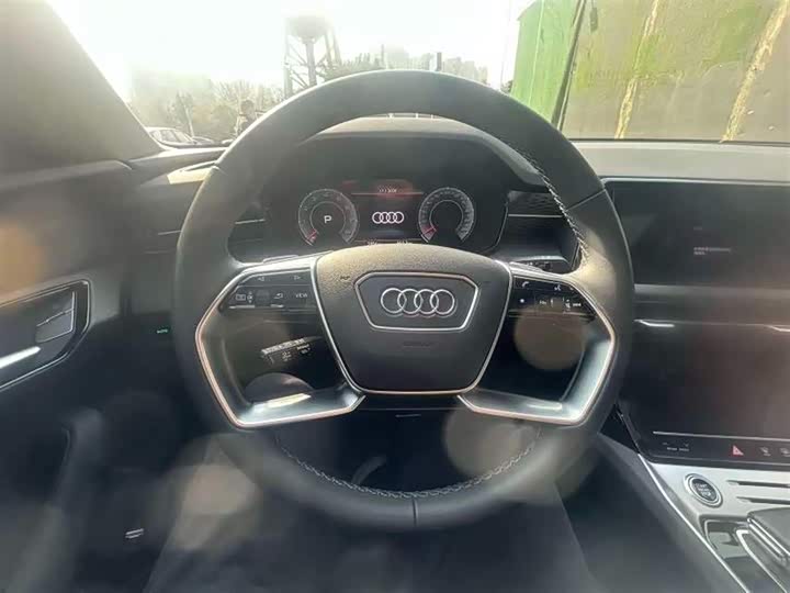 Audi Q6 2025 2025款 40 TFSI quattro 纪念版 羽林套装 7座