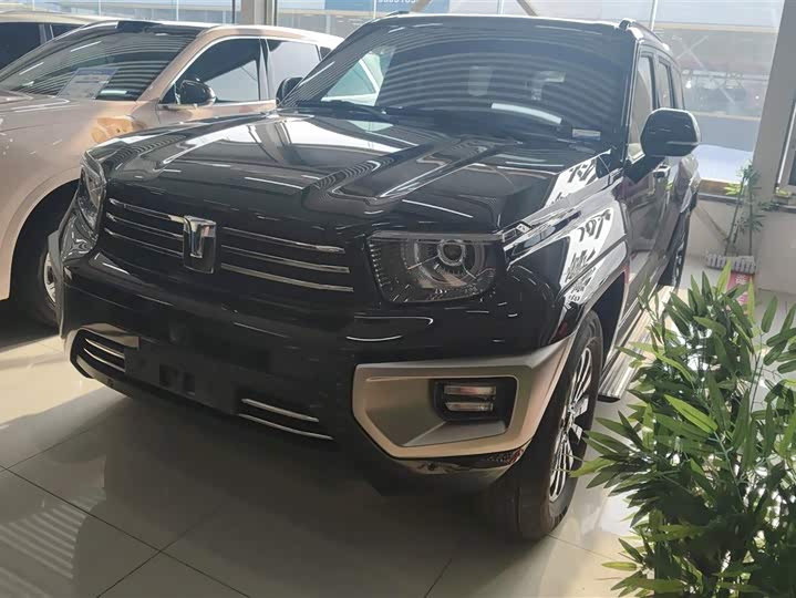 Tank 700 Hybrid 2024 2024款 Hi4-T 极境版