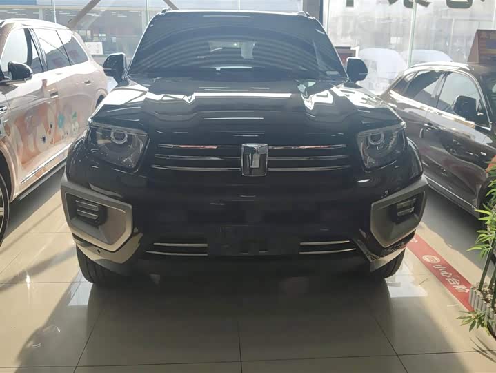 Tank 700 Hybrid 2024 2024款 Hi4-T 极境版