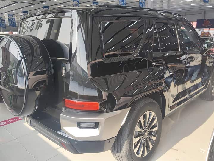 Tank 700 Hybrid 2024 2024款 Hi4-T 极境版