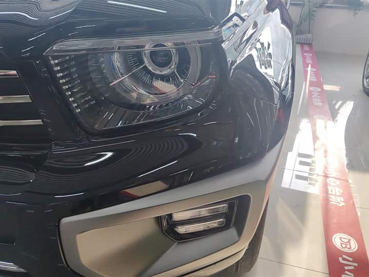 Tank 700 Hybrid 2024 2024款 Hi4-T 极境版