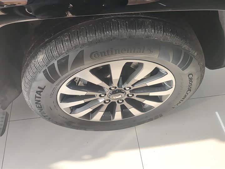 Tank 700 Hybrid 2024 2024款 Hi4-T 极境版