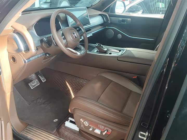 Tank 700 Hybrid 2024 2024款 Hi4-T 极境版