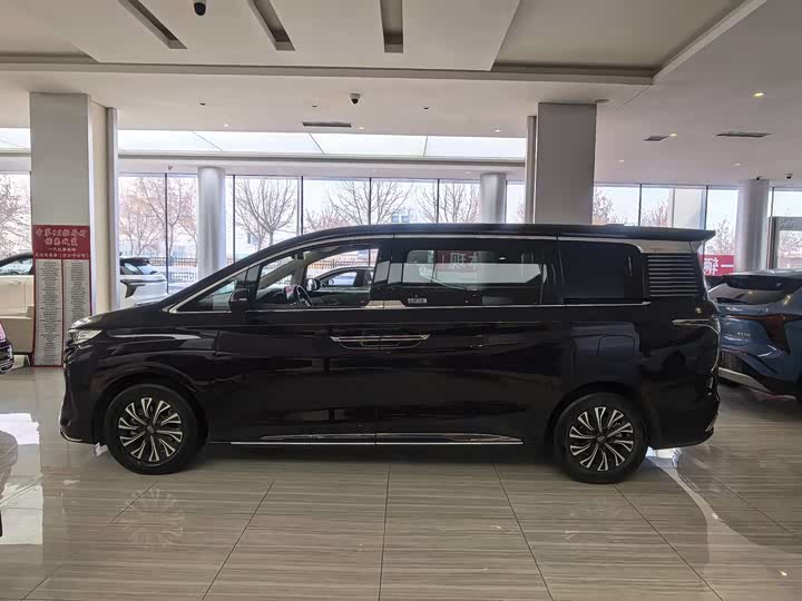 Hongqi HQ9 Hybrid 2024 2024款 2.0T 四驱豪华版