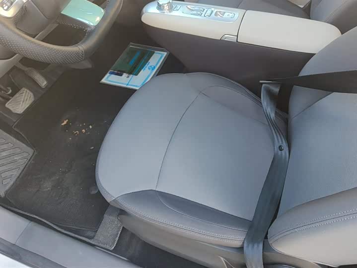 Changan Qiyuan (Nevo) Lumin 2025 2025款 205km 香沁款