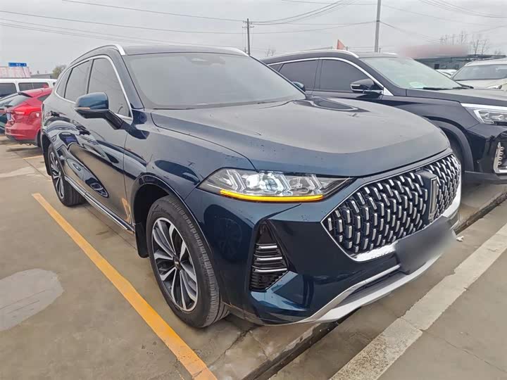 Wey Mocha 2021 2021款 2.0T 两驱特浓版