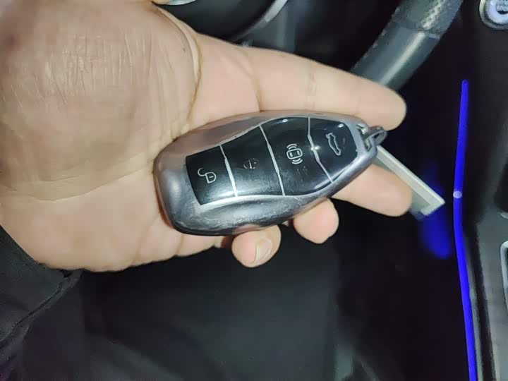 Hongqi HS7 Hybrid 2024 2024款 2.0T PHEV 四驱旗畅版 6座