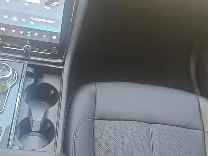 Ford Taurus 2019 2019款 EcoBoost 245 尊享版