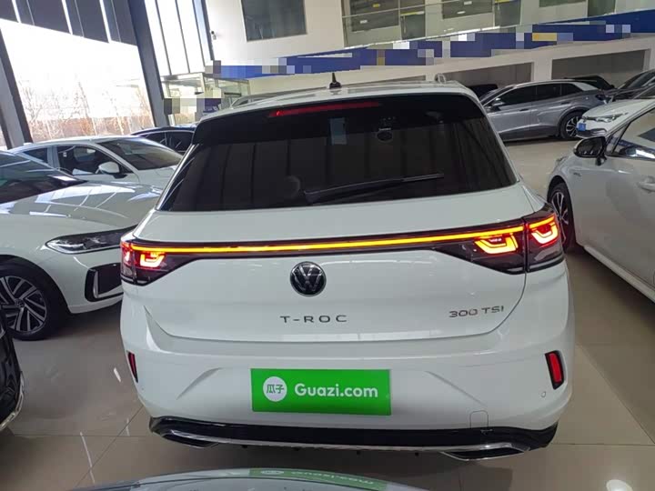 Volkswagen T-Roc 2024 2024款 300TSI DSG两驱辰光版