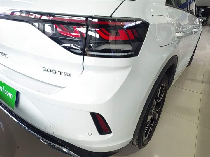 Volkswagen T-Roc 2024 2024款 300TSI DSG两驱辰光版