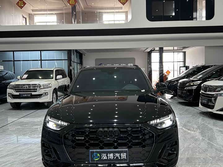 Audi Q5L 2025 2025款 45 TFSI 臻选动感型