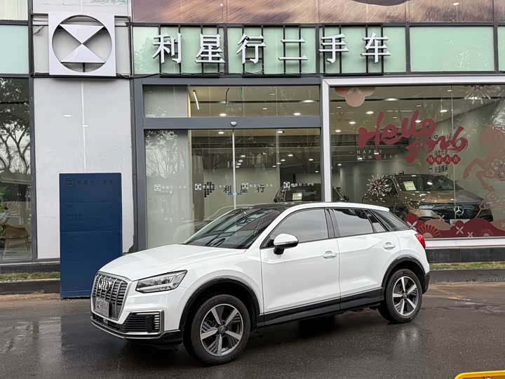 Audi Q2L e-tron 2019 2019款 Q2L e-tron 纯电智享型