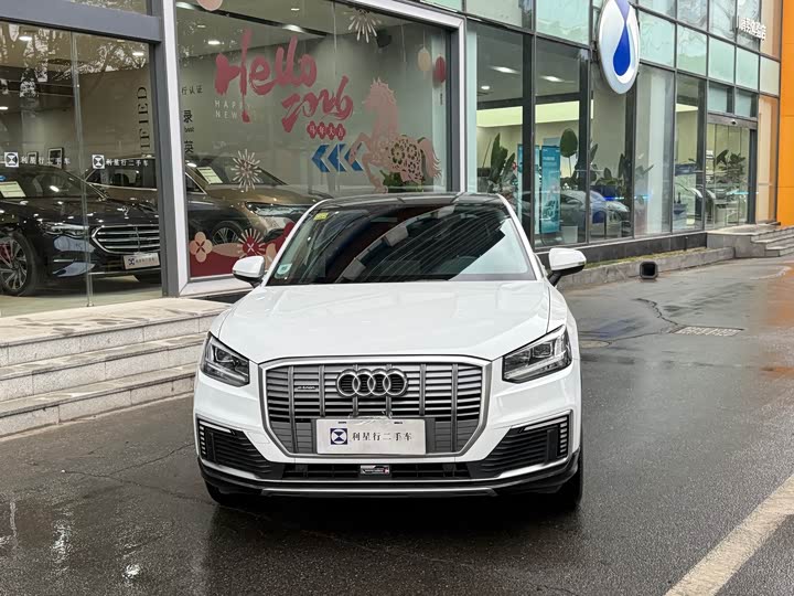 Audi Q2L e-tron 2019 2019款 Q2L e-tron 纯电智享型