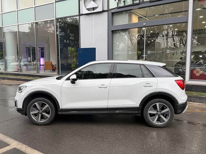 Audi Q2L e-tron 2019 2019款 Q2L e-tron 纯电智享型
