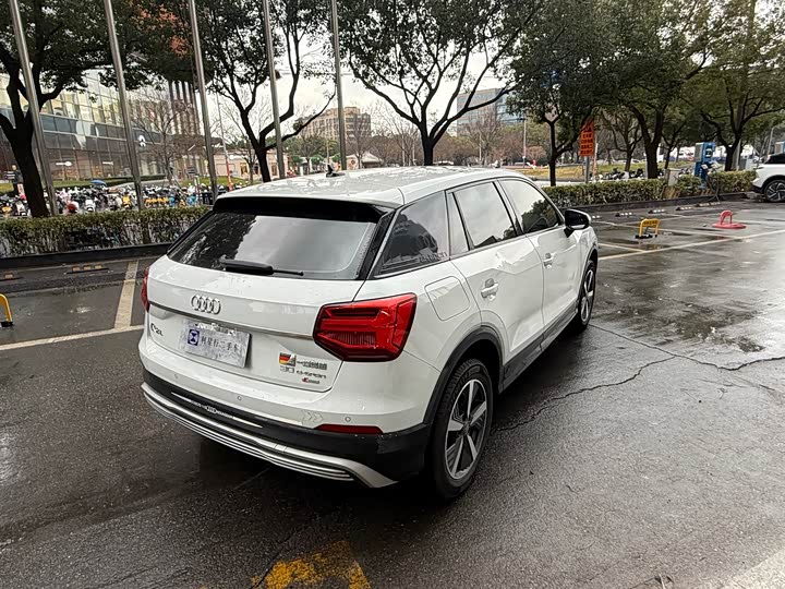 Audi Q2L e-tron 2019 2019款 Q2L e-tron 纯电智享型