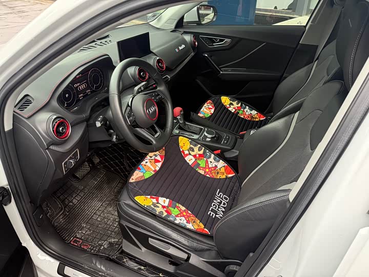 Audi Q2L e-tron 2019 2019款 Q2L e-tron 纯电智享型