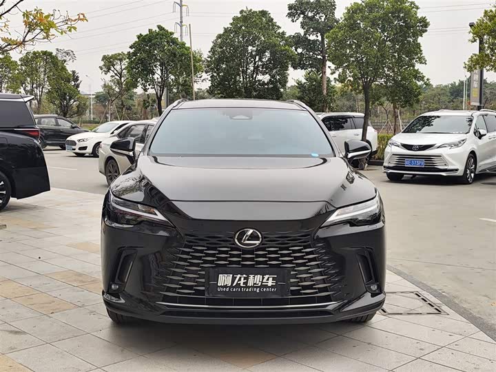Lexus RX 2025 2025款 350h 两驱舒享版