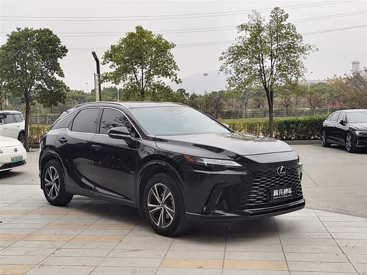 Lexus RX 2025 2025款 350h 两驱舒享版