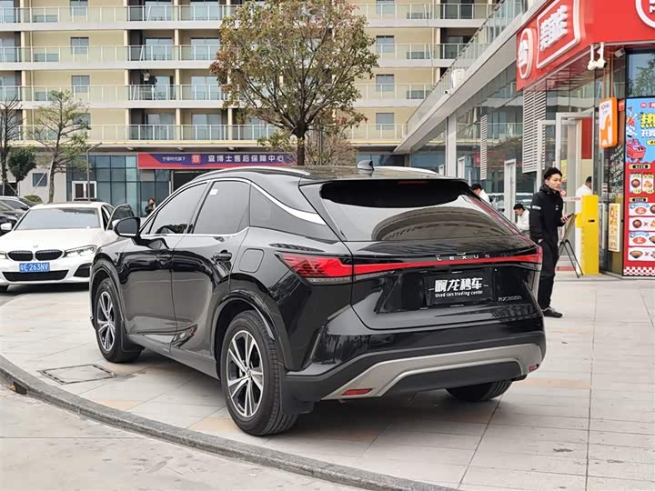 Lexus RX 2025 2025款 350h 两驱舒享版