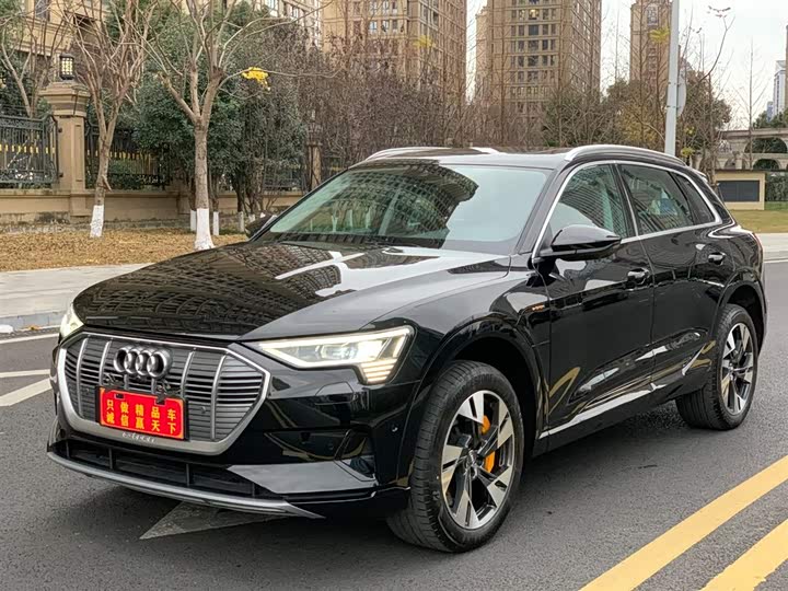 Audi e-tron 2019 2019款 55 quattro 技术型