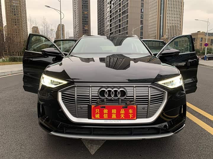 Audi e-tron 2019 2019款 55 quattro 技术型