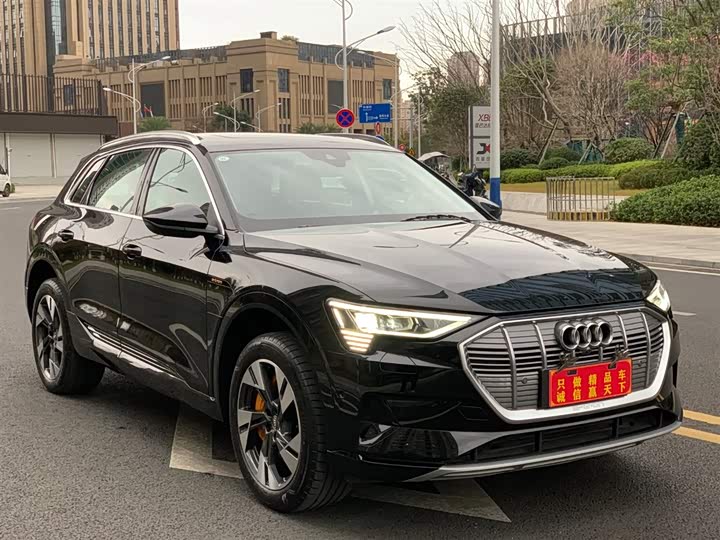 Audi e-tron 2019 2019款 55 quattro 技术型