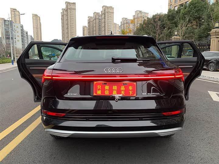 Audi e-tron 2019 2019款 55 quattro 技术型