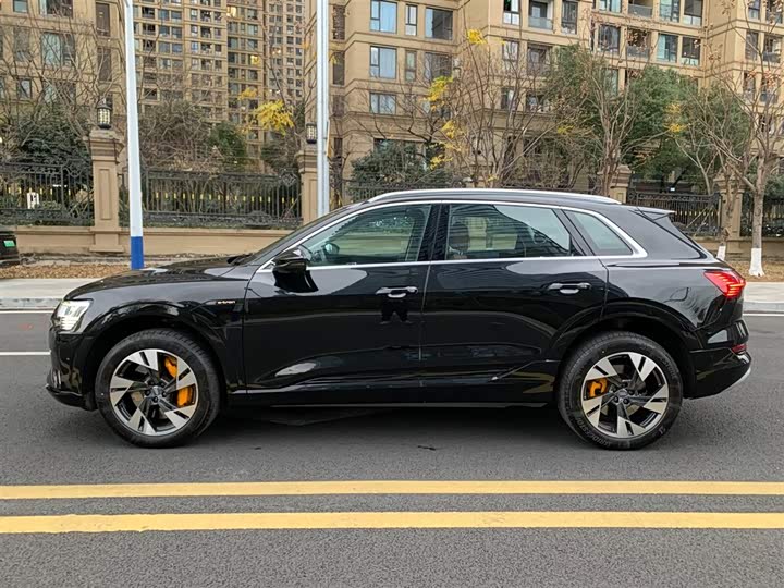 Audi e-tron 2019 2019款 55 quattro 技术型
