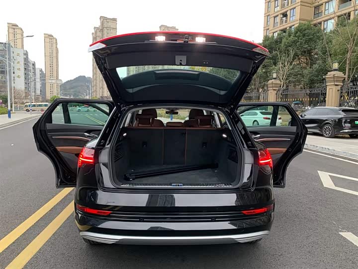 Audi e-tron 2019 2019款 55 quattro 技术型